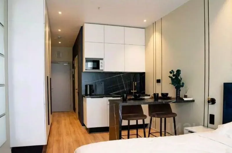 Студия Санкт-Петербург просп. Энергетиков, 8к2 (24.8 м) - Фото 0