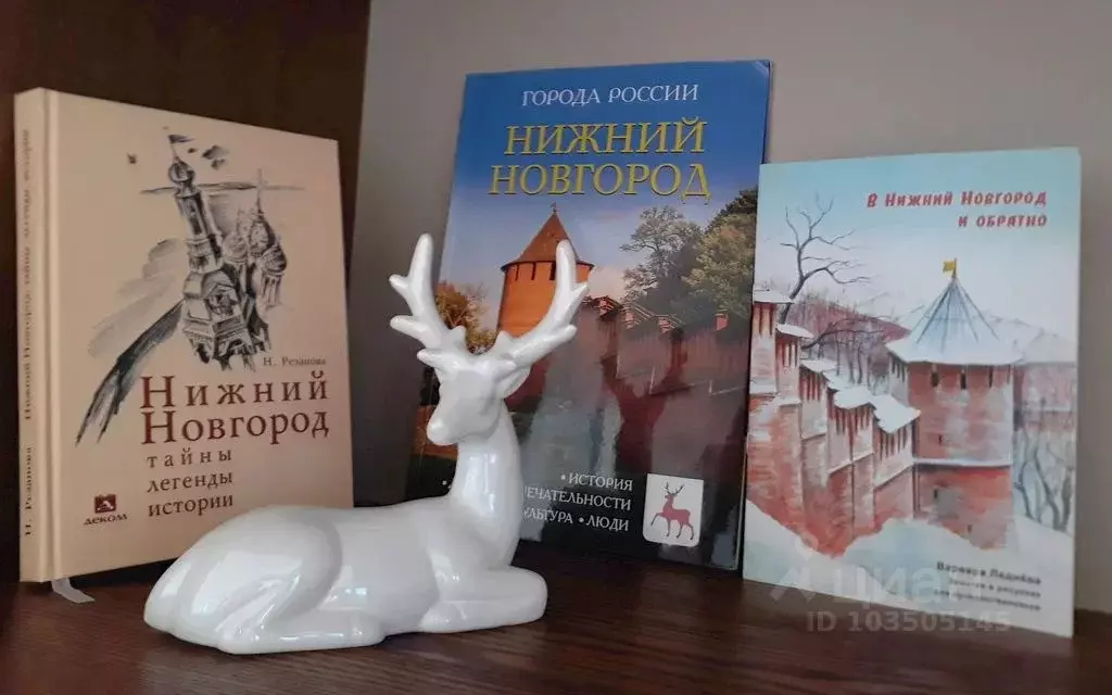 3-к кв. Нижегородская область, Нижний Новгород Ижорская ул., 52 (53.0 ... - Фото 0