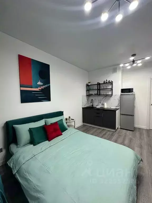 1-к кв. Санкт-Петербург Дальневосточный просп., 23 (23.0 м) - Фото 1