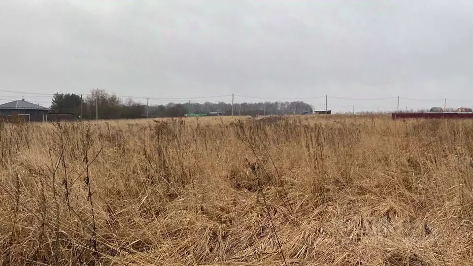 Участок в Московская область, Кашира городской округ, д. Тарасково ... - Фото 0