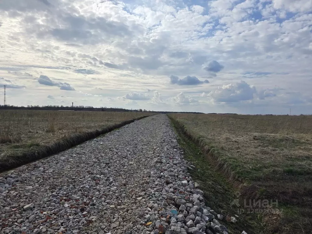 Участок в Московская область, Раменский муниципальный округ, Давыдово ... - Фото 1