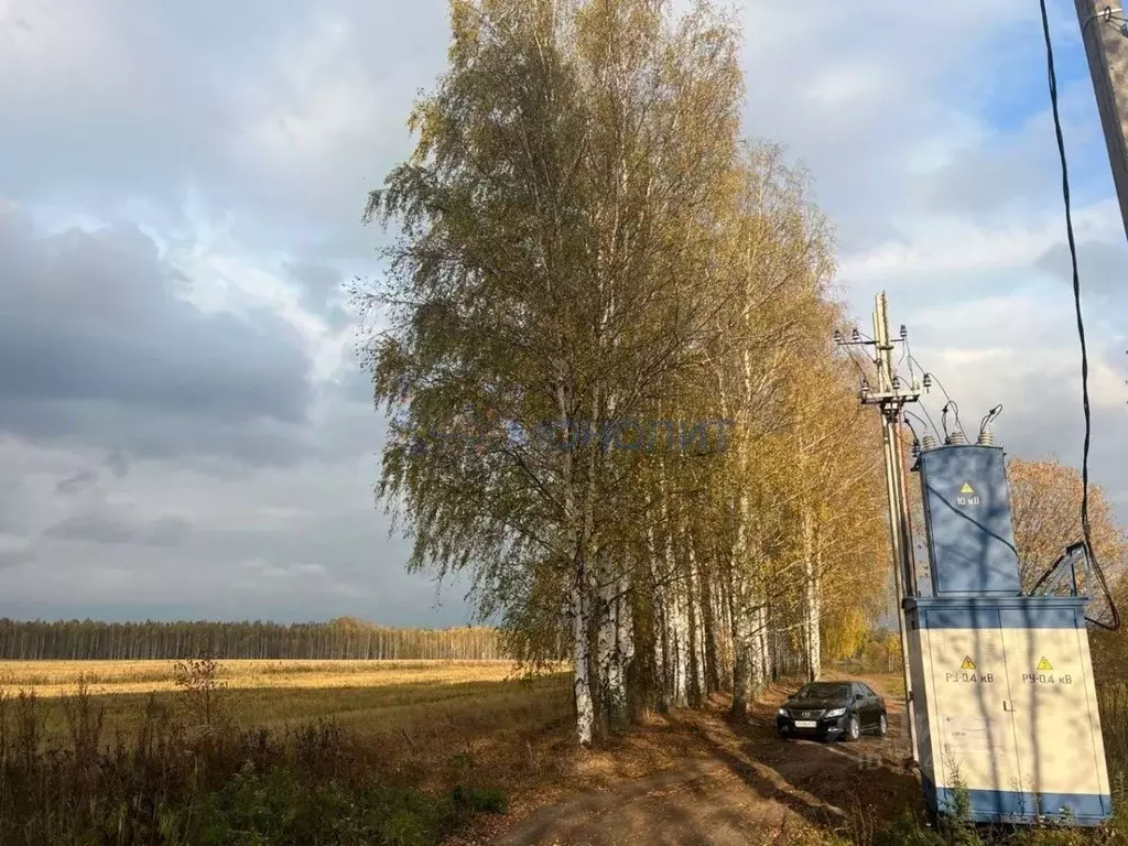 Участок в Нижегородская область, Дивеевский муниципальный округ, с. ... - Фото 1