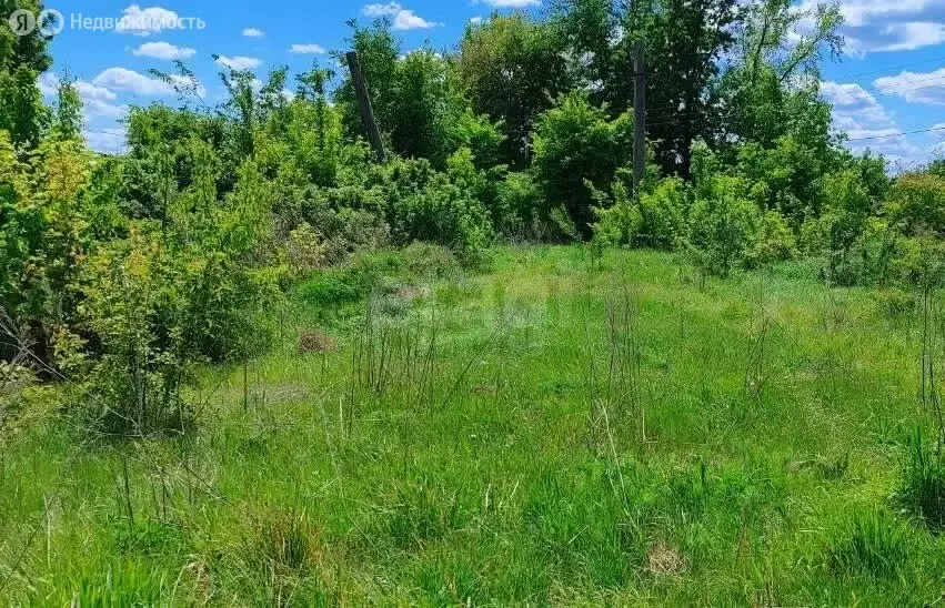 Участок в посёлок Воля, улица Свободы (10 м) - Фото 1
