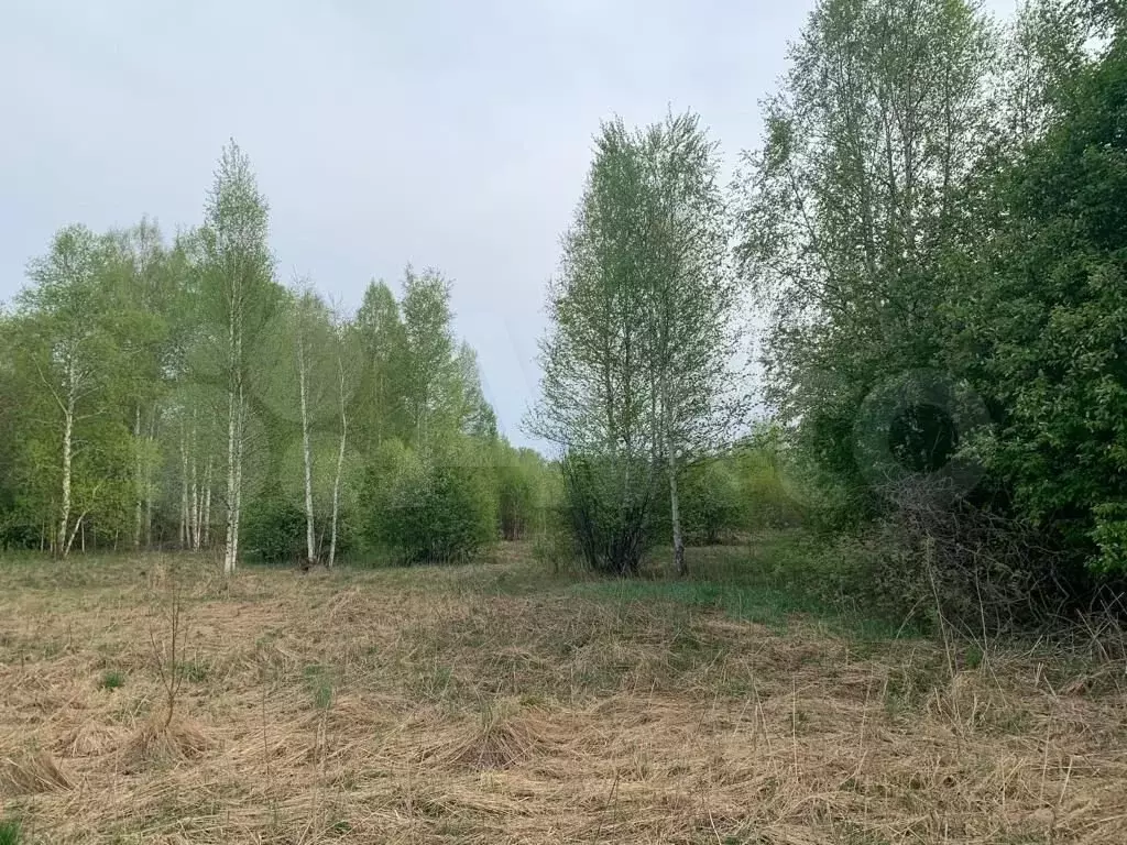 Дом 104 м на участке 12,1 сот. - Фото 1