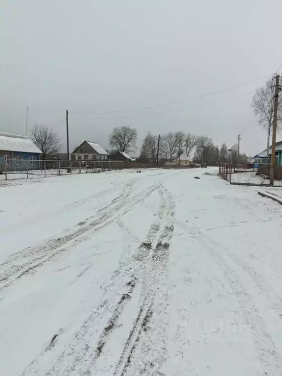 Дом в Брянская область, Навлинский район, Бяковское с/пос, с. Гремячее ... - Фото 1