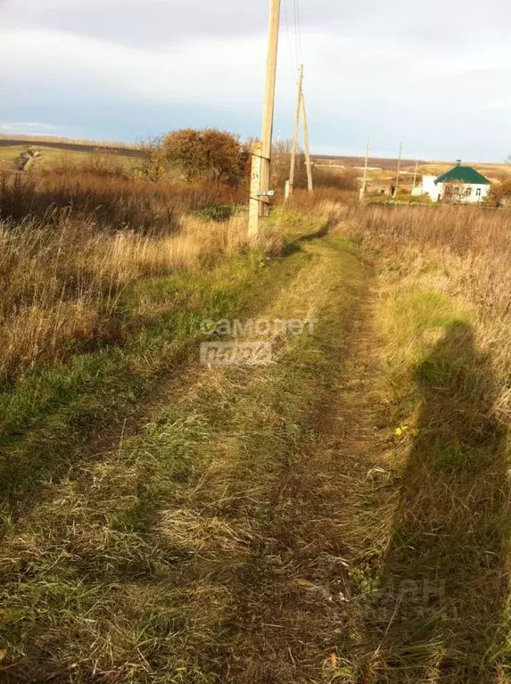 Дом в Воронежская область, Хохольский район, с. Семидесятное ... - Фото 0