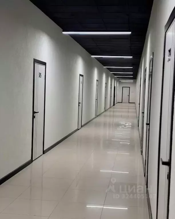 Офис в Омская область, Омск ул. 24-я Линия, 59 (16 м) - Фото 1