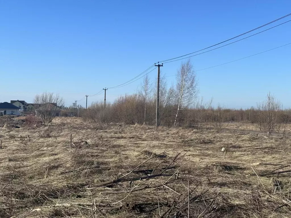 Участок в Ленинградская область, Всеволожский район, Колтушское ... - Фото 0