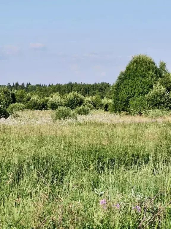 Участок в Тверская область, Старицкий муниципальный округ, д. ... - Фото 0