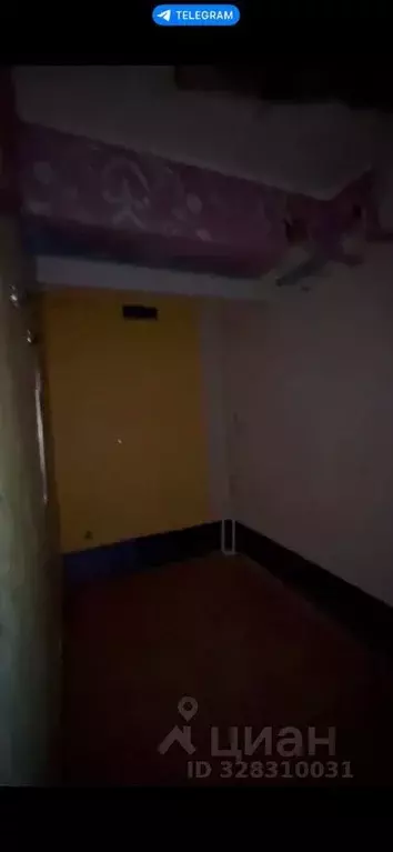 Помещение свободного назначения в Ленинградская область, Выборг ... - Фото 1