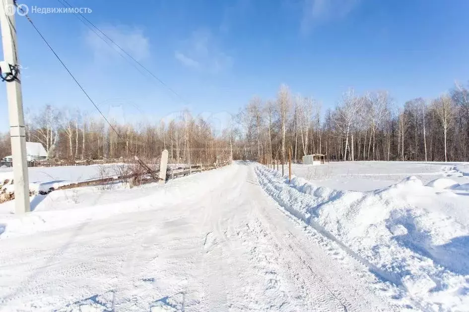 Участок в Тобольск, Дачный переулок (8.2 м) - Фото 0