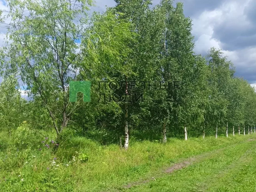 Купить Квартиру В Зеленце Сыктывдинского Района Вторичка