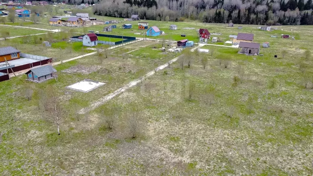 Участок в Ленинградская область, Ломоносовский район, Лопухинское ... - Фото 1