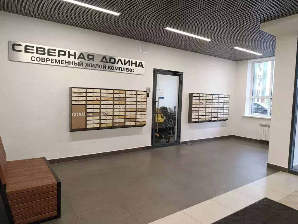 Студия Санкт-Петербург пос. Парголово, Заречная ул., 54 (19.44 м) - Фото 0