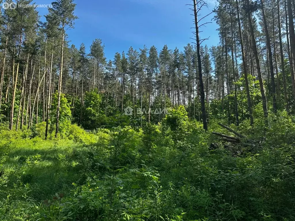 Участок в Пензенский район, Богословский сельсовет, село Малая ... - Фото 1