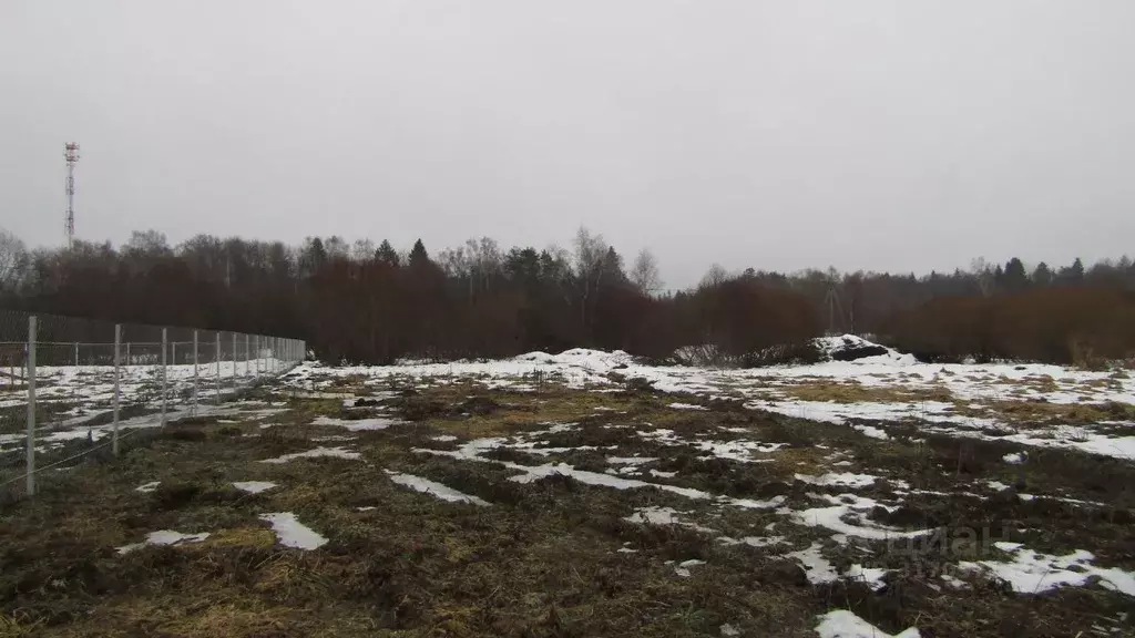 Участок в Московская область, Рузский муниципальный округ, д. ... - Фото 1