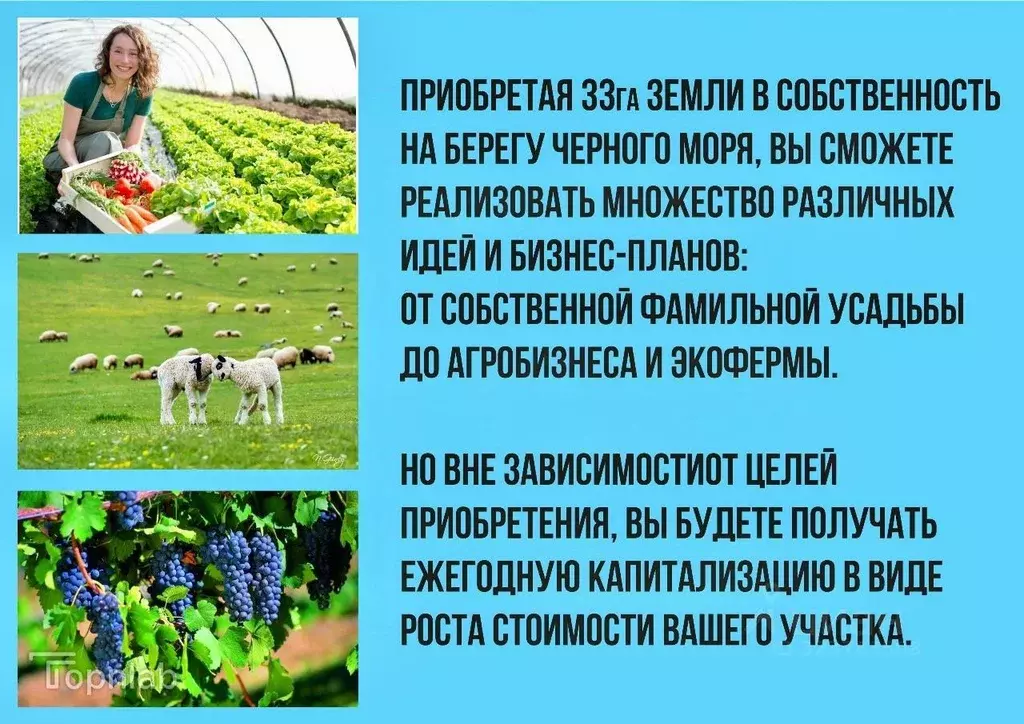 Участок в Крым, Сакский район, Суворовское с/пос, с. Великое  (33.0 ... - Фото 2