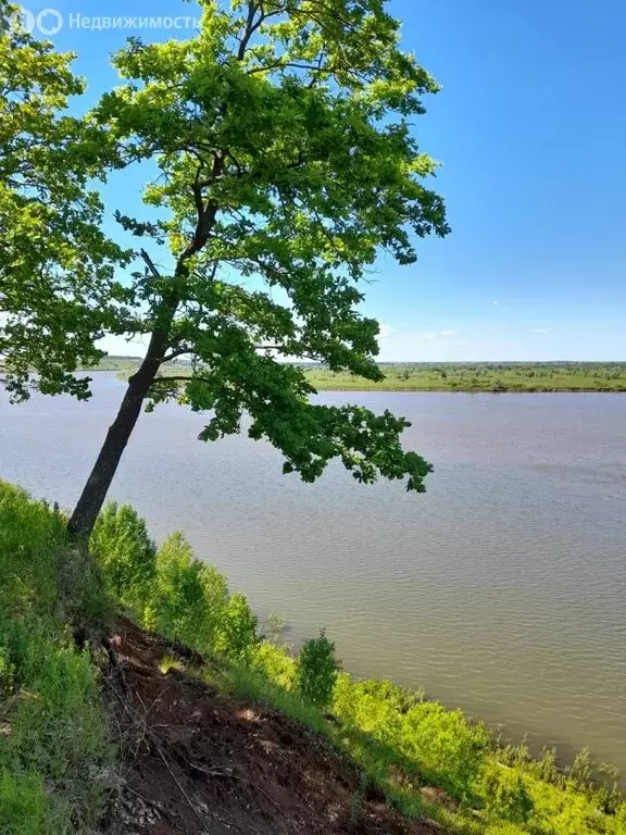 Участок в деревня Груздевка, Дорожная улица, 13 (20 м) - Фото 1