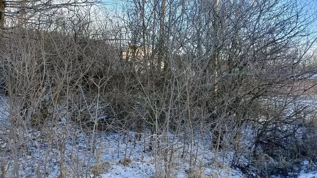 Участок в Московская область, Можайский муниципальный округ, пос. ... - Фото 1