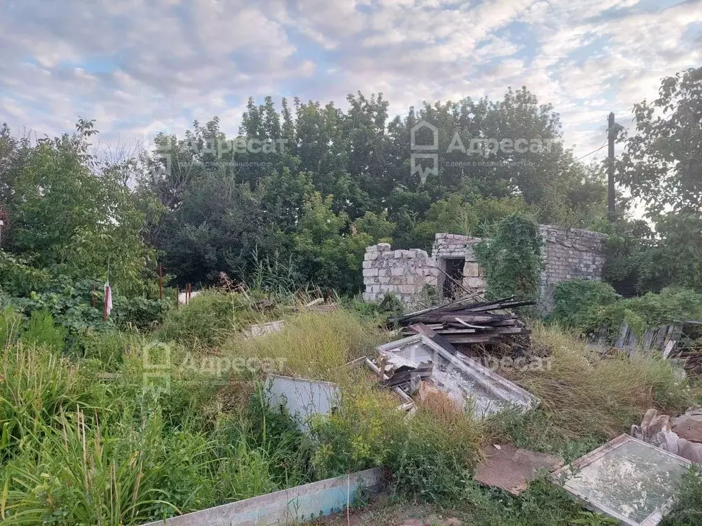 Дом в Волгоградская область, Волгоград Родниковая ул. (45 м) - Фото 0