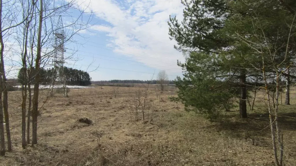 Участок в Московская область, Рузский муниципальный округ, д. Орешки  ... - Фото 2
