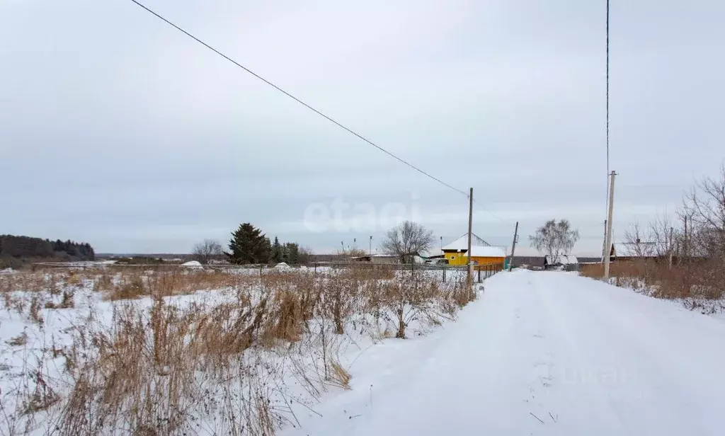 Участок в Тюменская область, Вагайский район, с. Дубровное  (27.0 ... - Фото 0