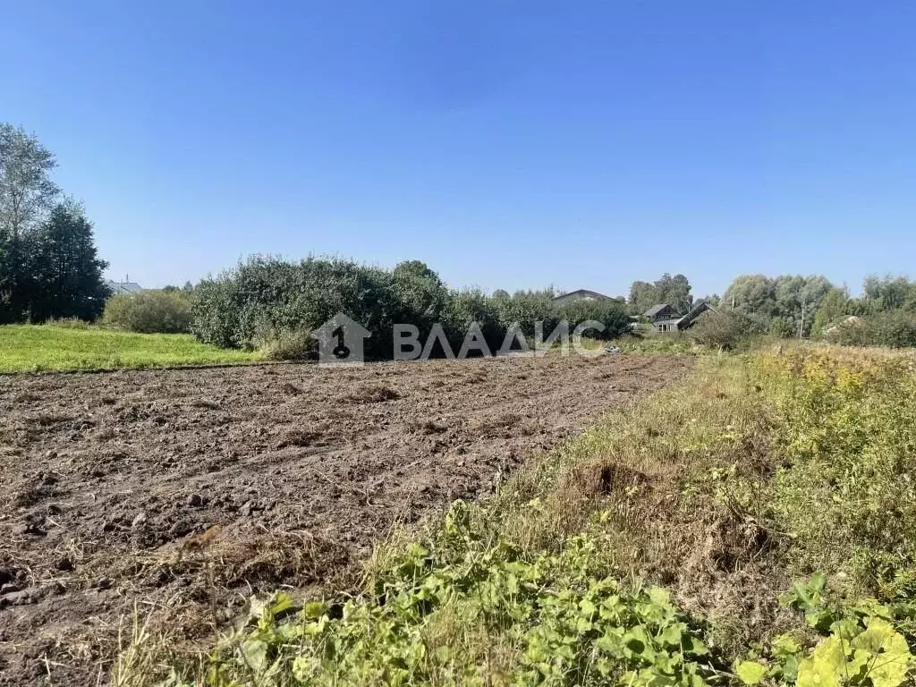 Участок в Владимирская область, Суздальский район, с. Павловское  ... - Фото 0