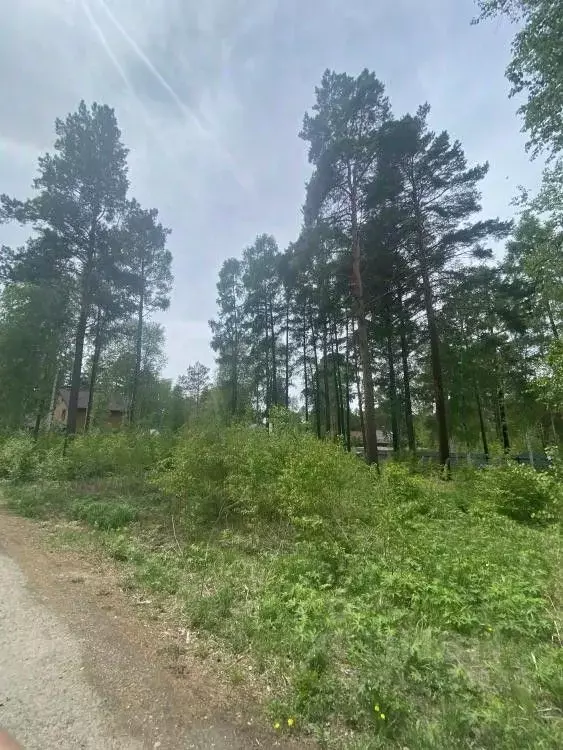 Участок в Иркутская область, Иркутск  (10.0 сот.) - Фото 1