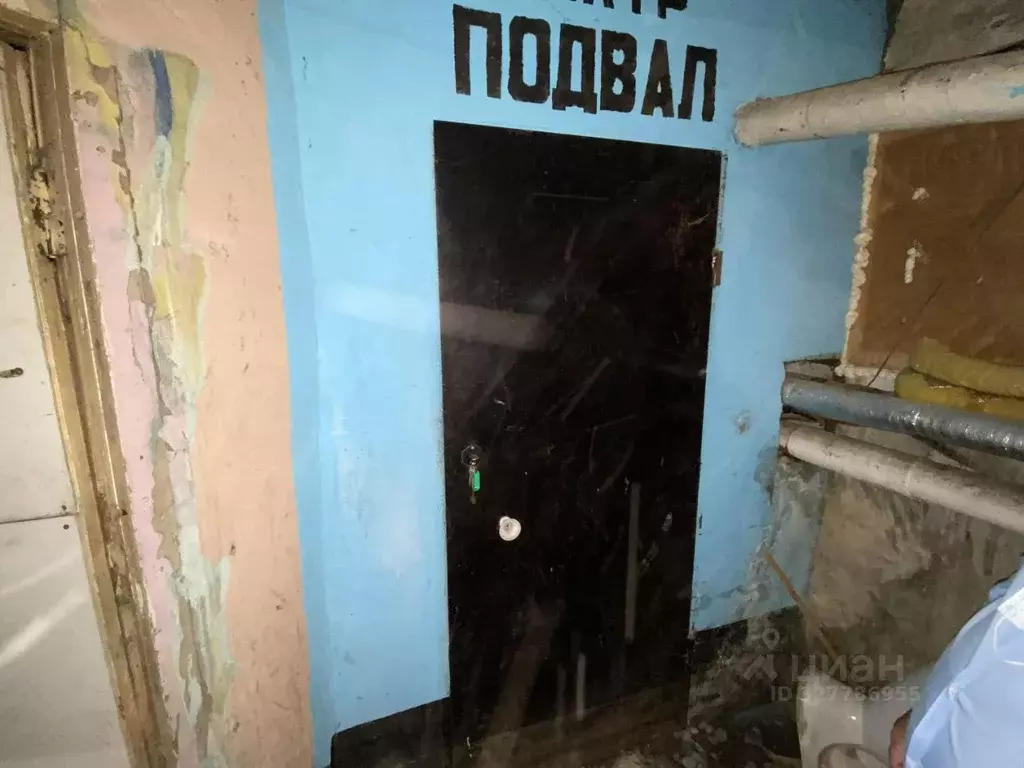 Помещение свободного назначения в Алтайский край, Барнаул просп. ... - Фото 1