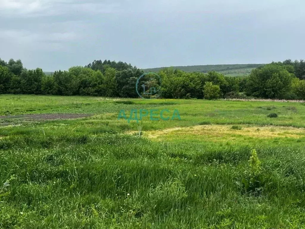 Участок в Белгородская область, Новооскольский муниципальный округ, с. ... - Фото 1
