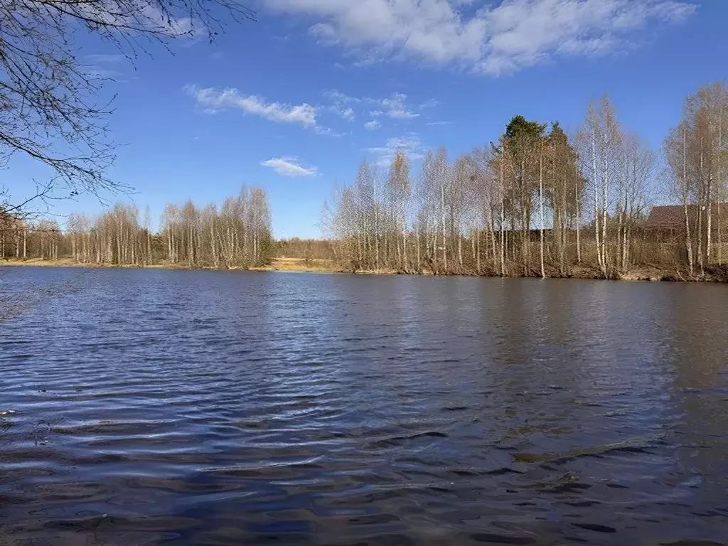 Участок в Ленинградская область, Всеволожский район, Сертоловское ... - Фото 0
