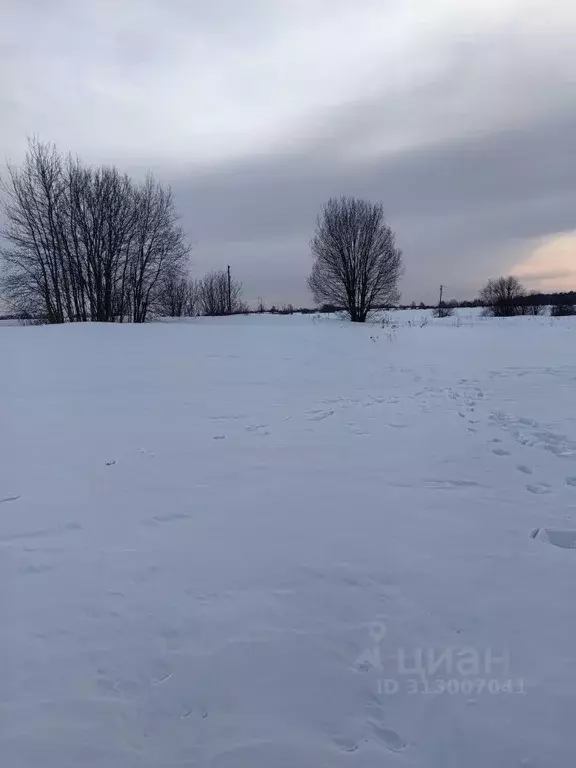 Участок в Московская область, Ступино городской округ, д. Ивантеево  ... - Фото 1