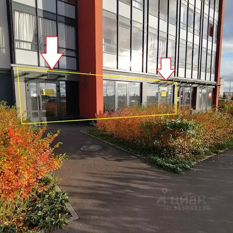 Помещение свободного назначения в Санкт-Петербург просп. Ветеранов, ... - Фото 1