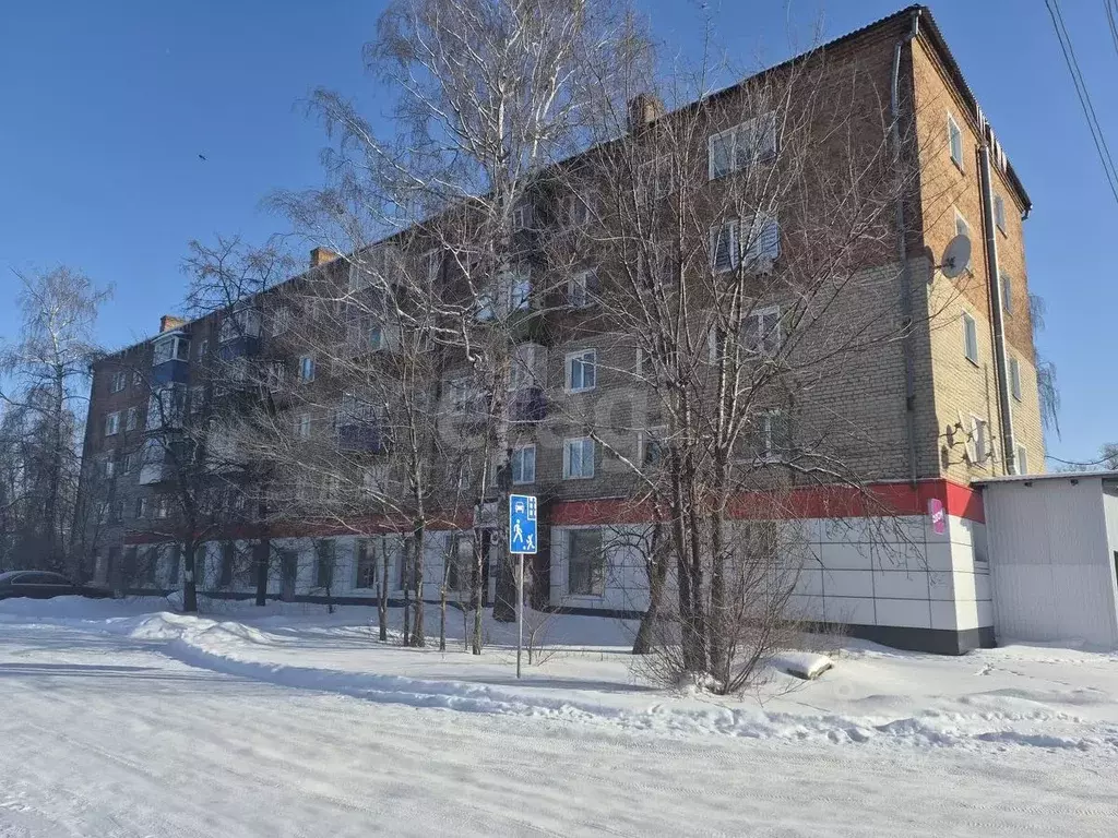 2-к кв. Воронежская область, Грибановский пгт ул. Машзаводская, 22 ... - Фото 2