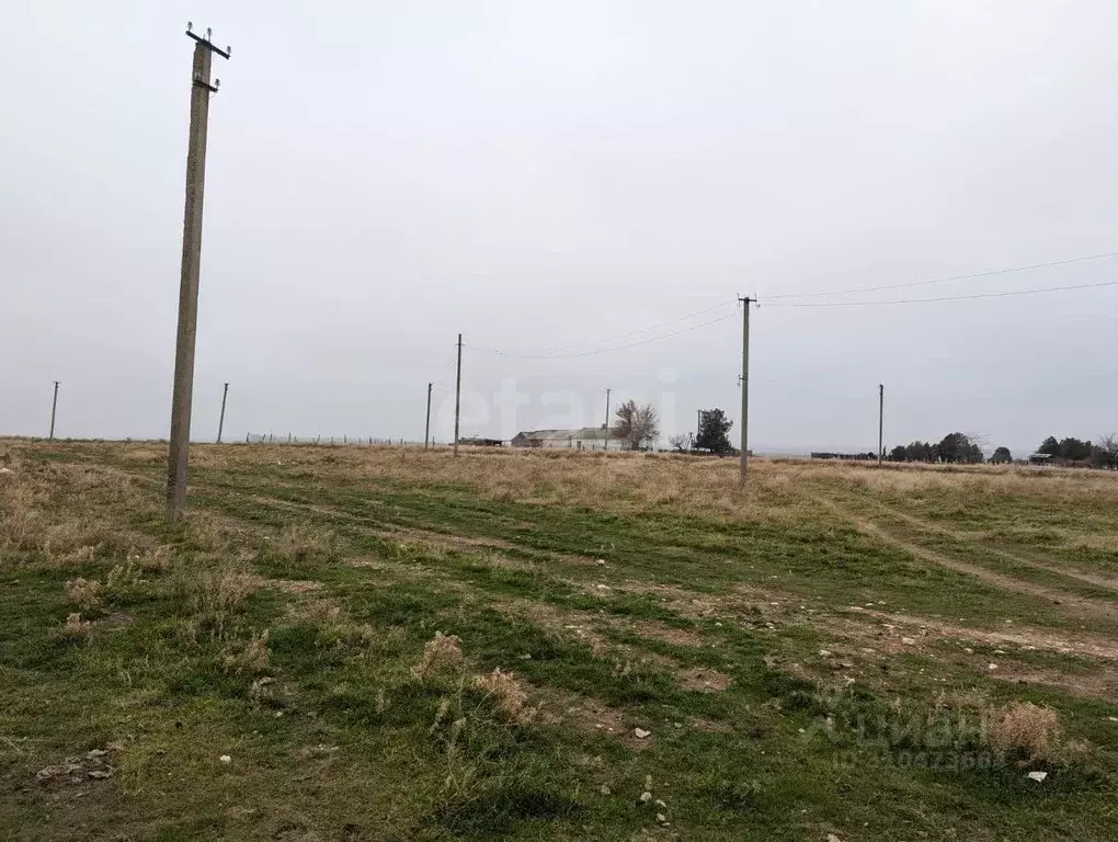 Участок в Крым, Черноморский район, Медведевское с/пос, с. Медведево ... - Фото 0