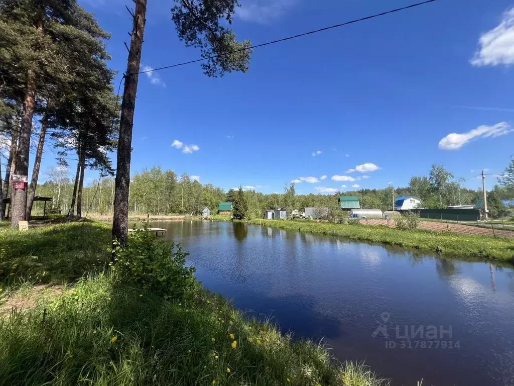 Участок в Владимирская область, Владимир Колос садовое товарищество,  ... - Фото 0