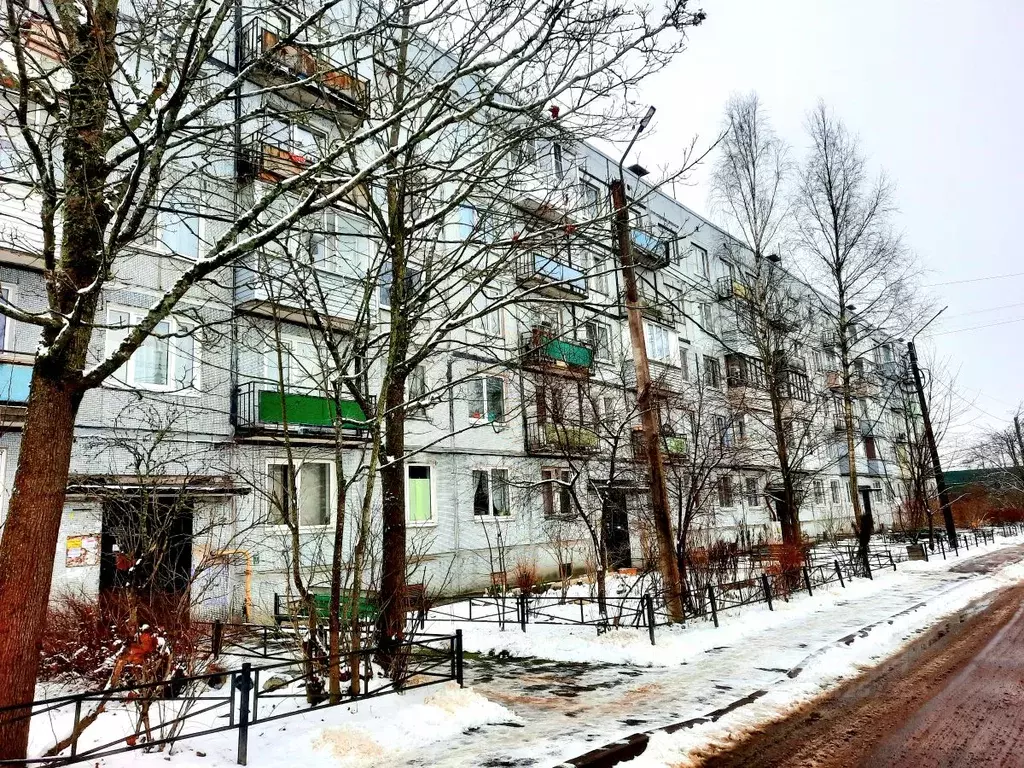 3-к кв. Ленинградская область, Сертолово Всеволожский район, Черная ... - Фото 1