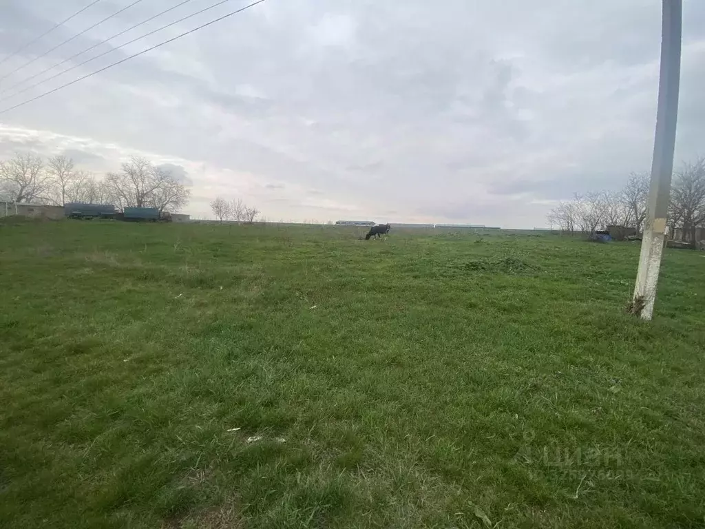 Участок в Краснодарский край, Новокубанский район, Верхнекубанское ... - Фото 1