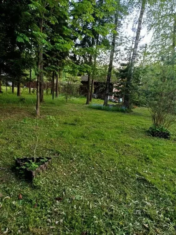 Участок в Московская область, Одинцовский городской округ, Фортуна СНТ ... - Фото 2