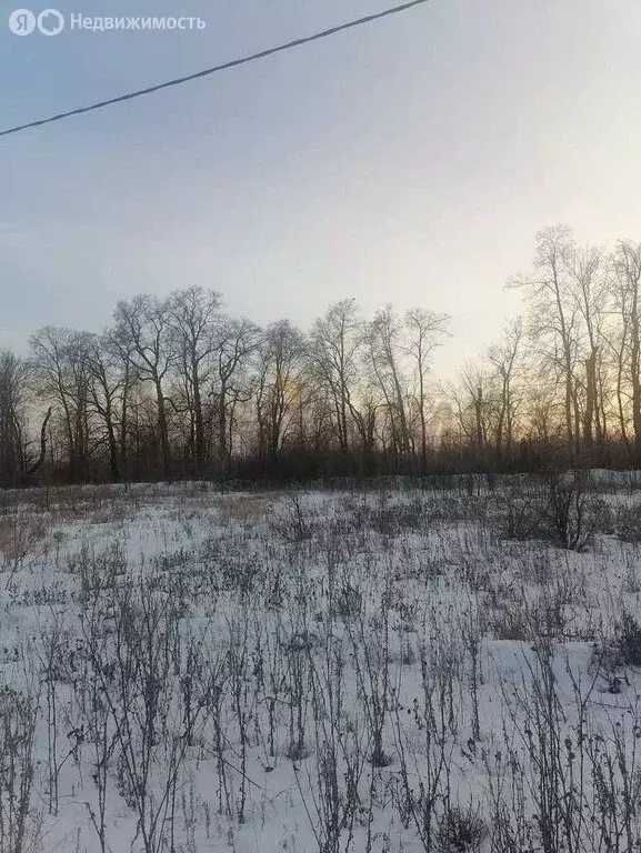 Участок в Саратов, 3-й Назаровский проезд (6 м) - Фото 2