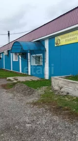 Помещение свободного назначения в Алтайский край, Красногорский район, ... - Фото 2