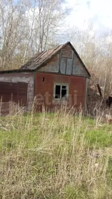 Участок в Оренбургская область, Оренбург Мичуринец-50 СНТ, 118 (7.7 ... - Фото 0