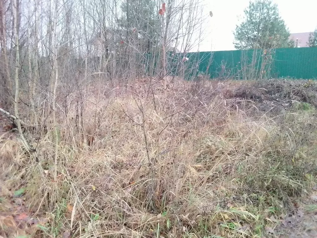 Участок в Московская область, Луховицы муниципальный округ, с. Городна ... - Фото 1