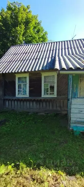 Дом в Новгородская область, Шимский муниципальный район, Медведское ... - Фото 1