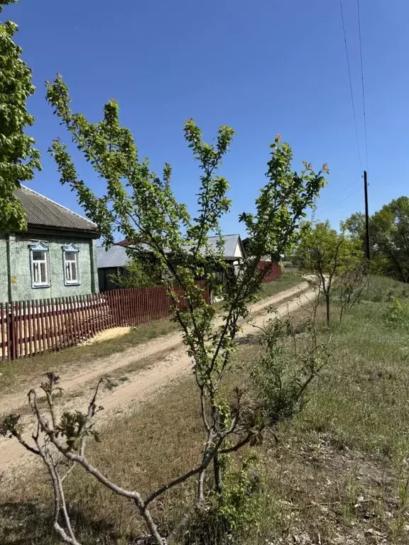 Дом в Воронежская область, Новохоперск городское поселение, ... - Фото 2