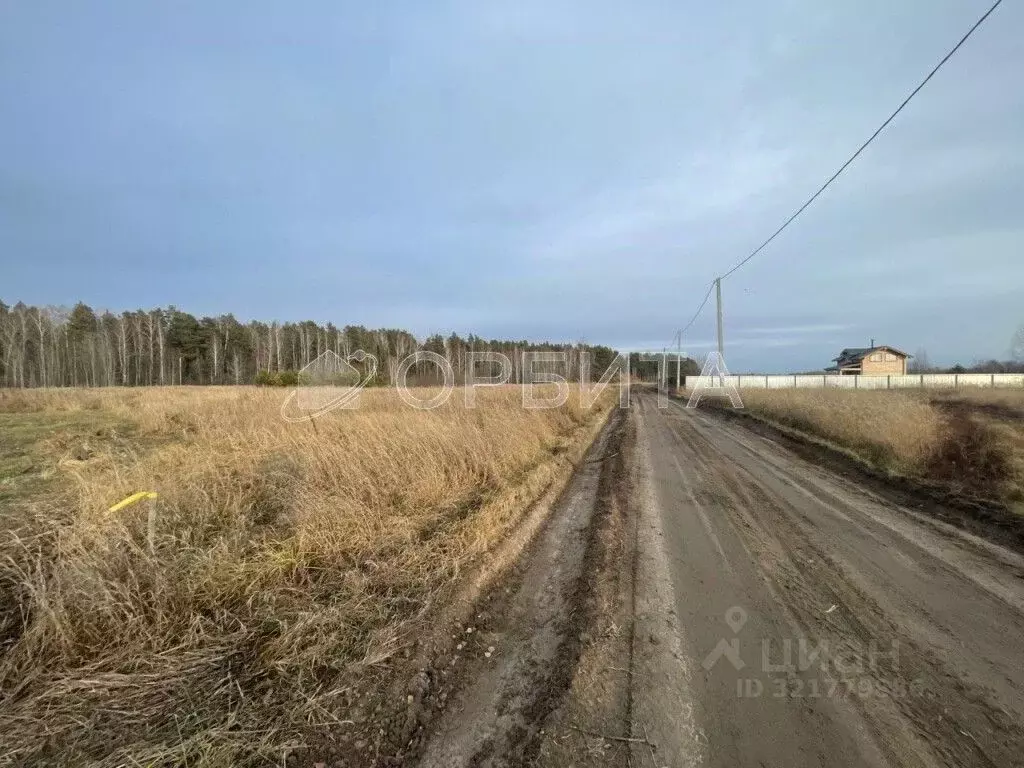 Участок в Тюменская область, Нижнетавдинский муниципальный округ, ... - Фото 1