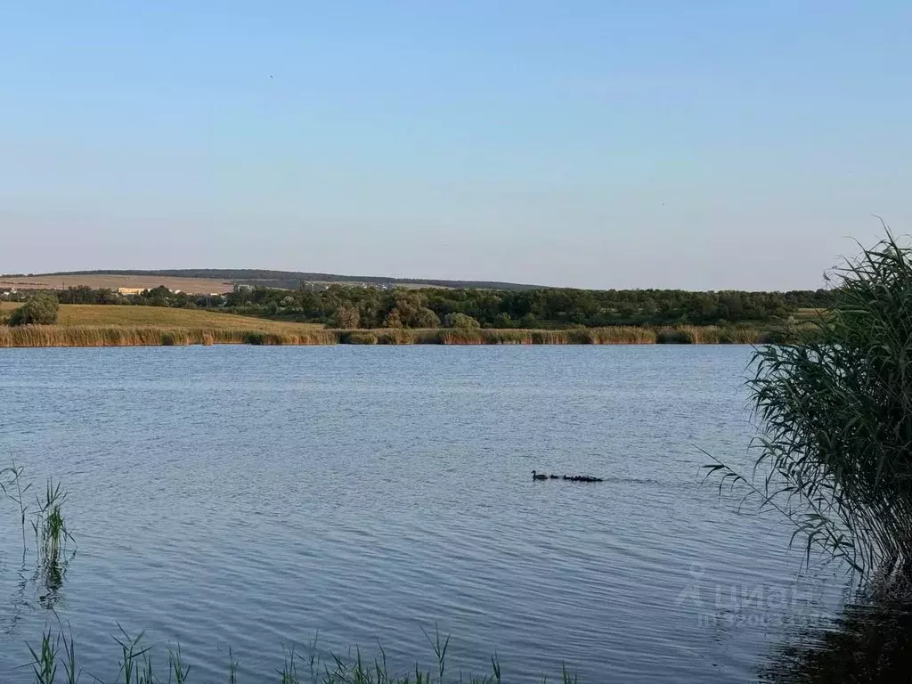 Участок в Крым, Симферопольский район, Чистенское с/пос, Родничок СПК ... - Фото 0