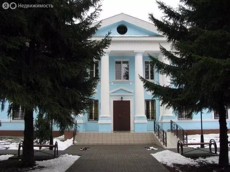 Помещение свободного назначения (284 м) - Фото 2