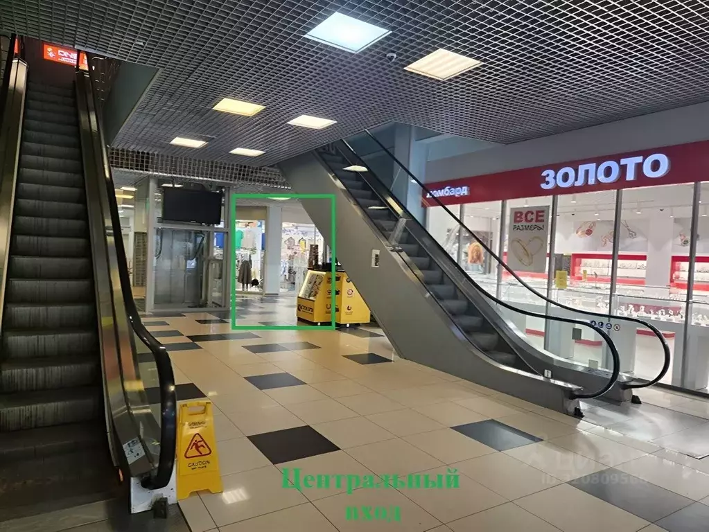 Торговая площадь в Ленинградская область, Кириши ул. Романтиков, 4 ... - Фото 0