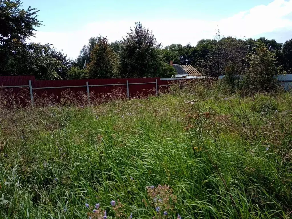 Участок в Московская область, Кашира городской округ, д. Растовцы ул. ... - Фото 1